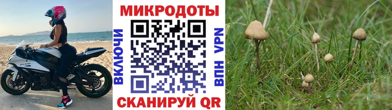 Псилоцибиновые грибы прущие грибы  Купить  Гаджиево 